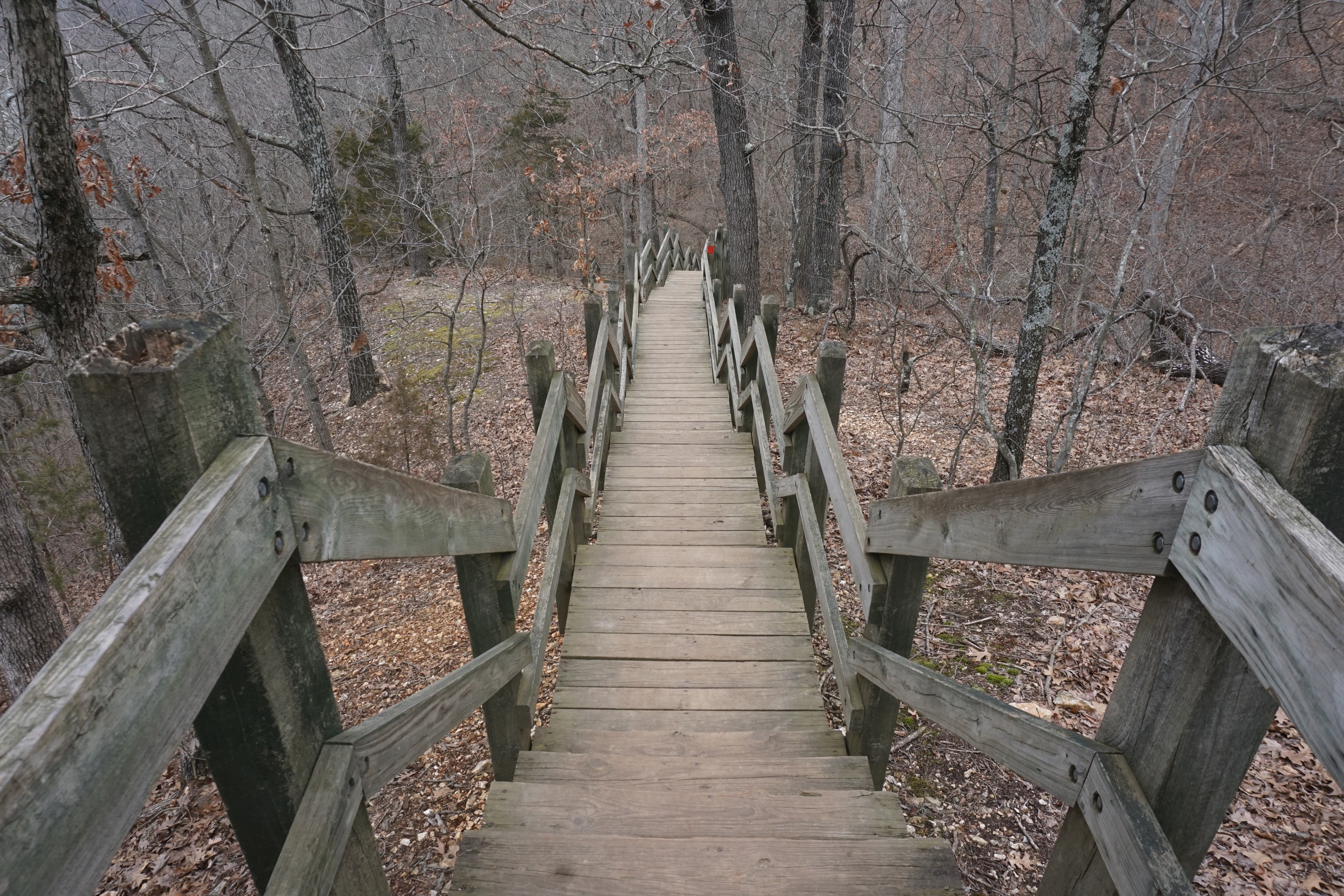 Wooden stairs on River Scene Trail Castlewood State Park