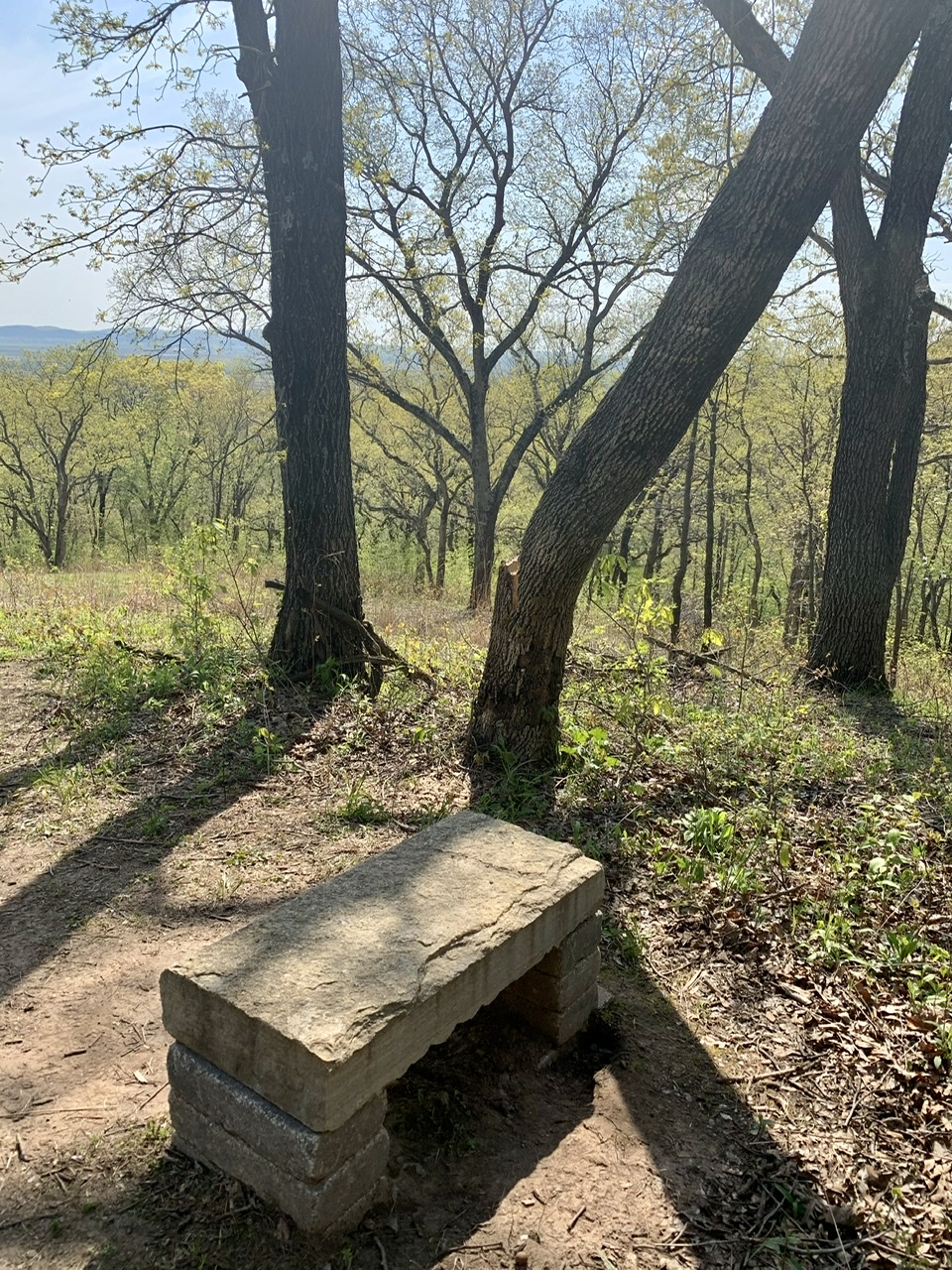 Bench along trail near prairie and woods in southern illinois