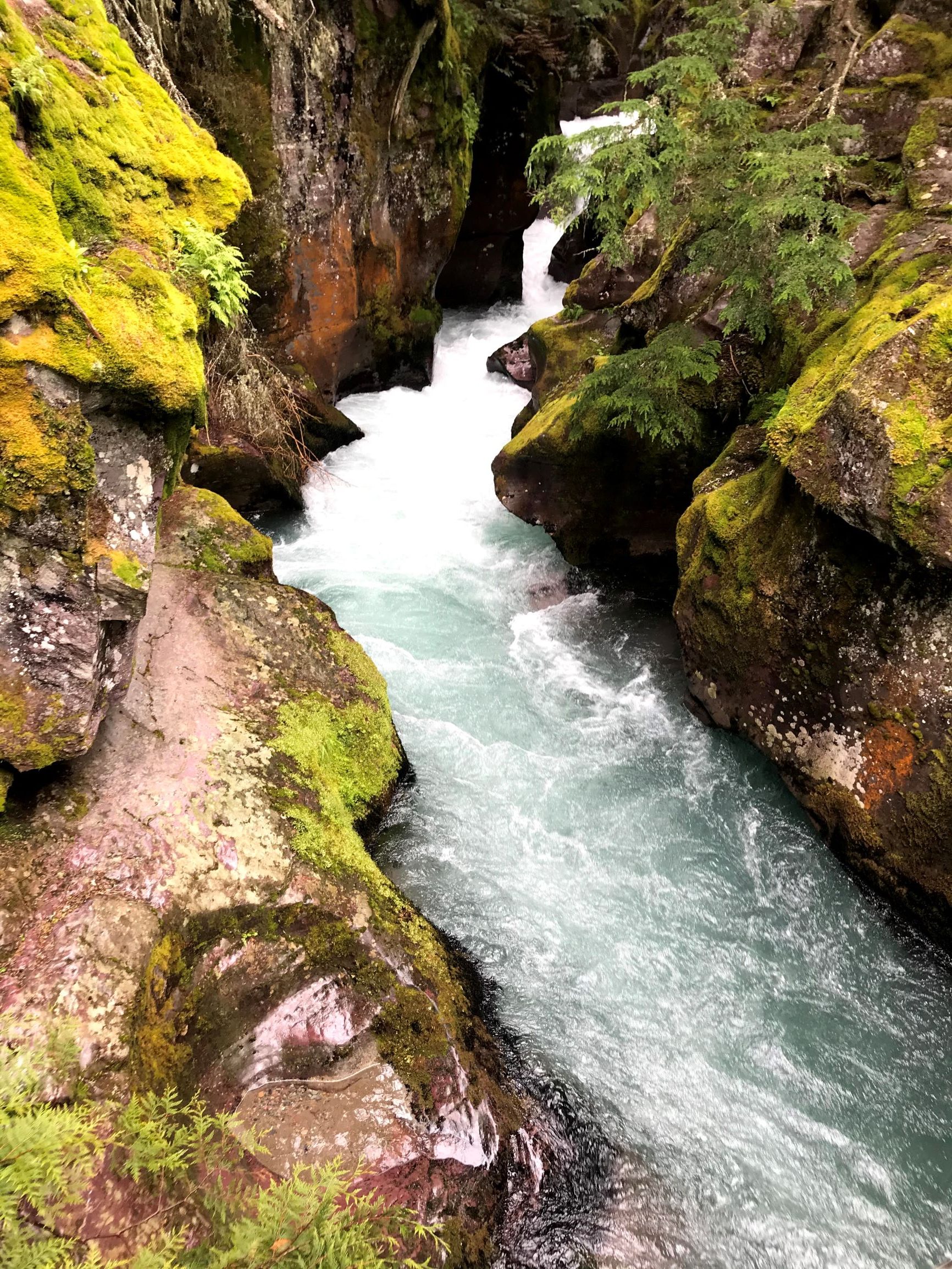 Avalanche Creek Gorge at Trail of the Cedars in Glacier National Park, Montana