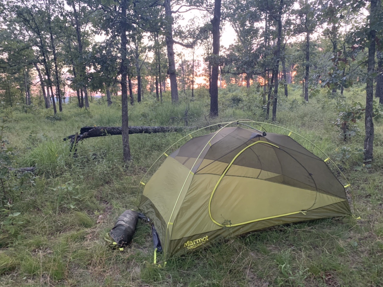 Green marmot tent in foreground with woods and sunset in background